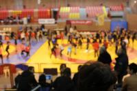 21 mars 2015 - Championnats de France de Lutte féminine Minimes, Cadettes, Juniors à Lomme